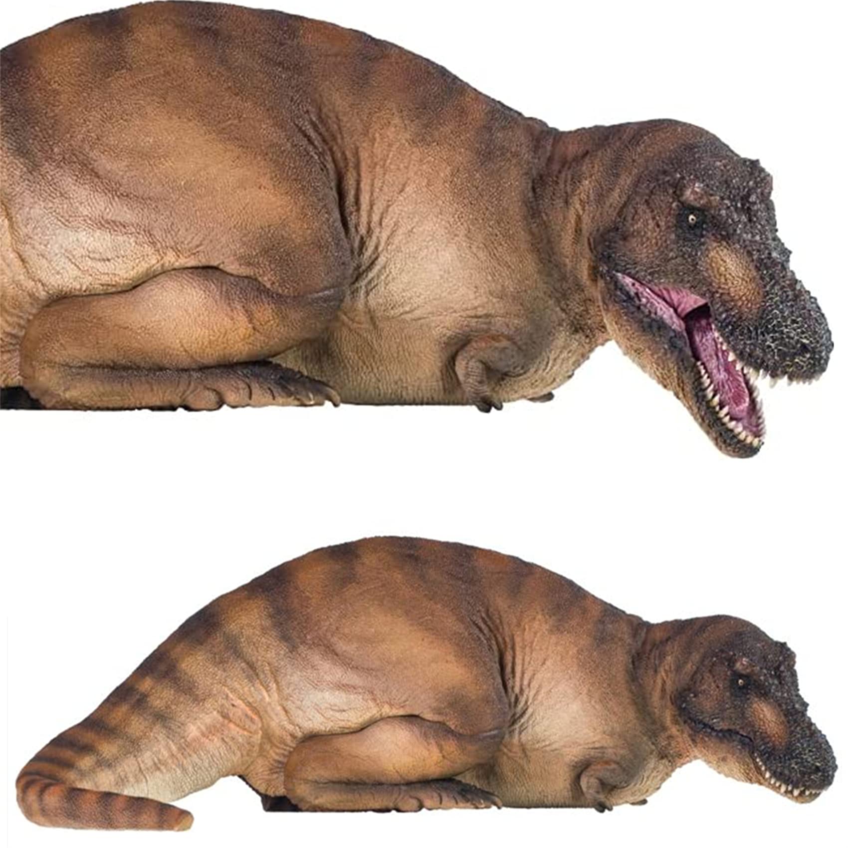 Amazon.co.jp: Lana Toys PNSO 1:35スケール ティラノサウルス